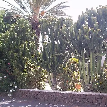 Kalyda * Teguise (Lanzarote)